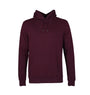 Colorful Standard Classic Organic Hood - Oxblood Red