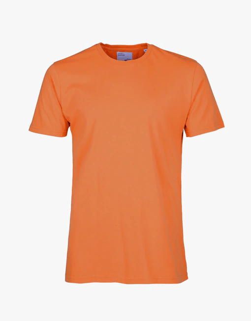 Colorful Standard Classic Organic Tee - Burned Orange - No Generation
